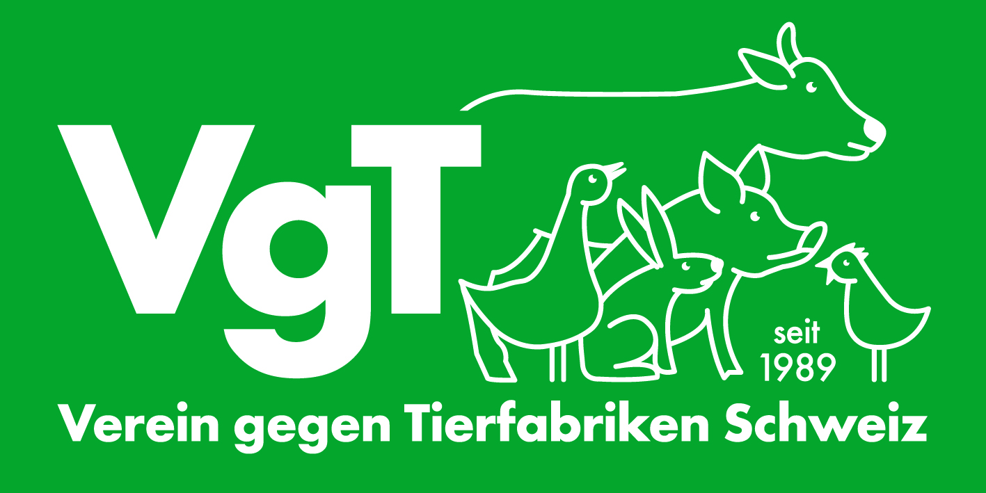 VgT Logo